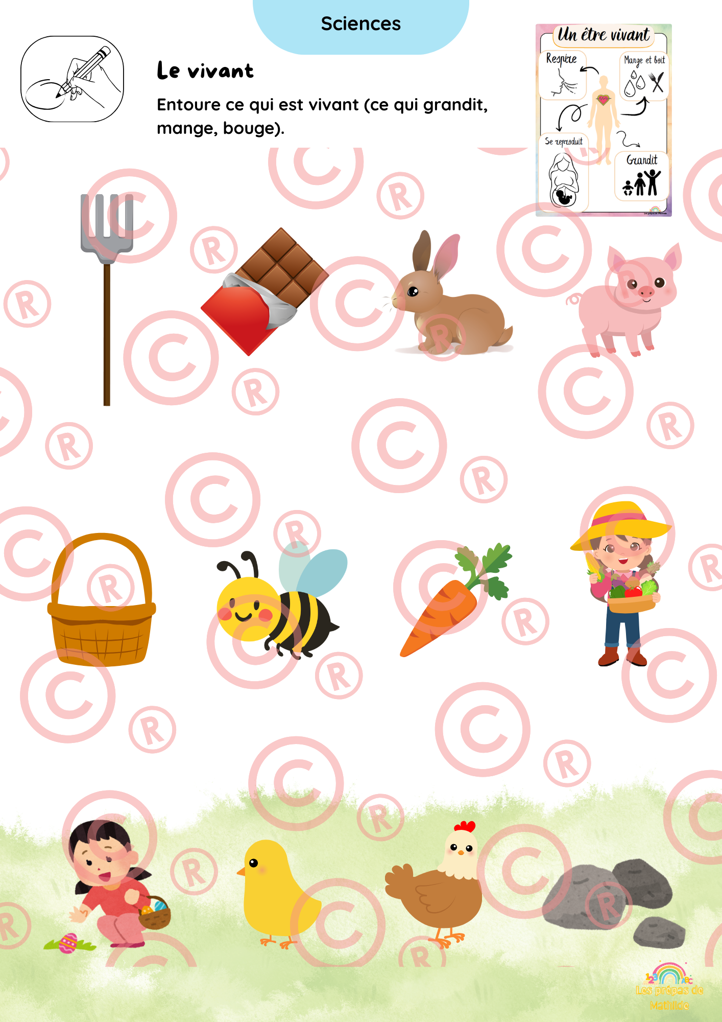 Page interieure 4
