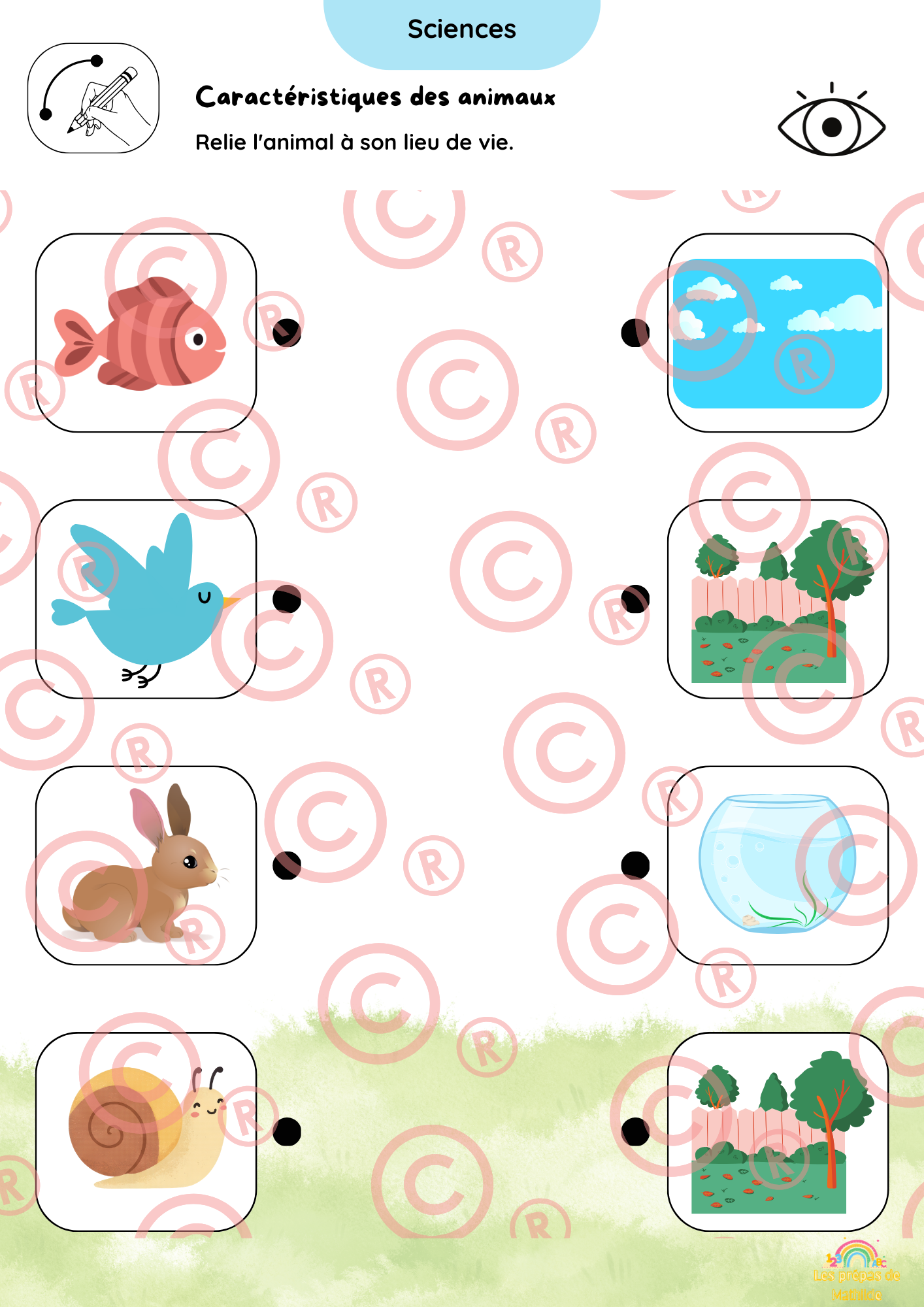 Page interieure 5